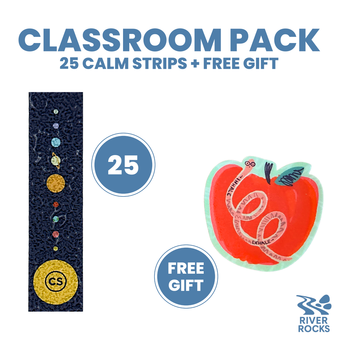 THE SYSTEM CLASSROOM PACK