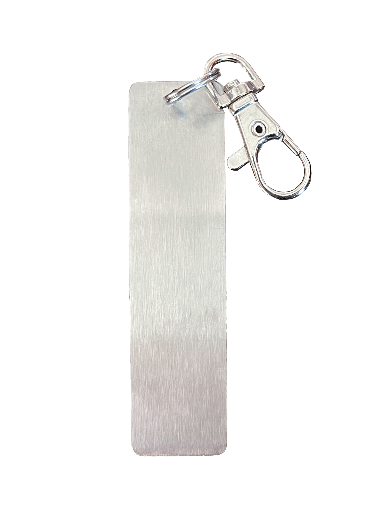 STAINLESS STEEL CARRY TAG